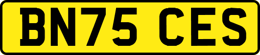 BN75CES