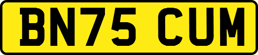 BN75CUM