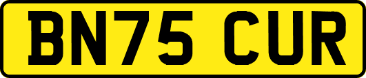 BN75CUR