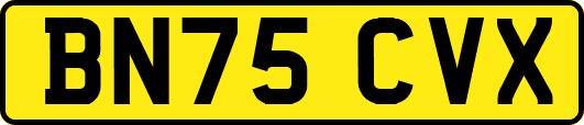BN75CVX