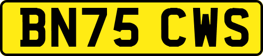BN75CWS