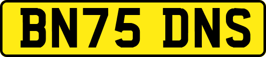 BN75DNS
