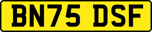 BN75DSF