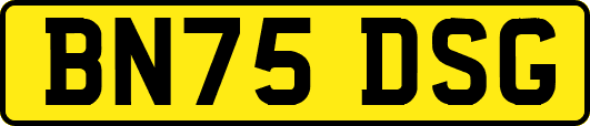 BN75DSG
