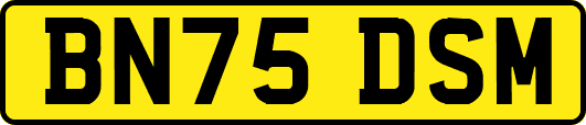 BN75DSM