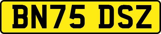 BN75DSZ