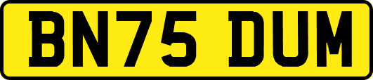 BN75DUM