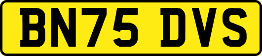 BN75DVS