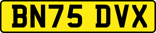 BN75DVX