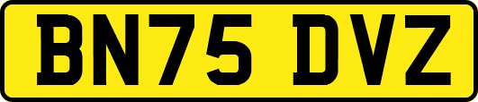 BN75DVZ
