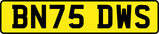 BN75DWS