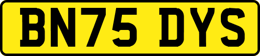 BN75DYS