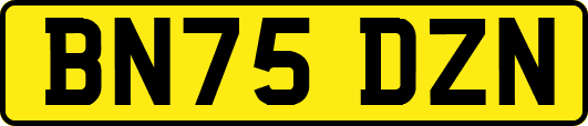 BN75DZN