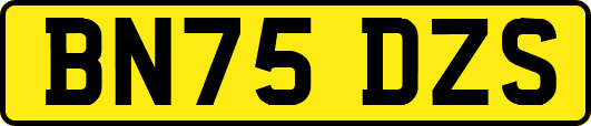 BN75DZS