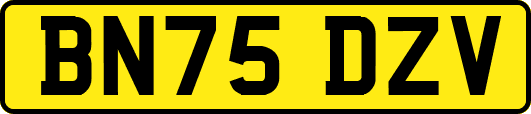 BN75DZV