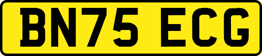 BN75ECG