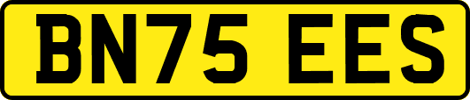 BN75EES
