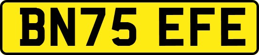 BN75EFE