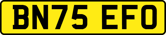 BN75EFO