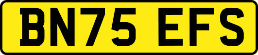 BN75EFS