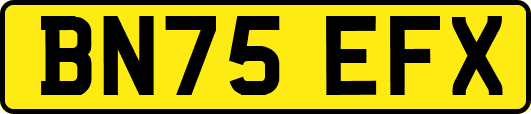 BN75EFX