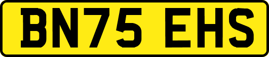 BN75EHS
