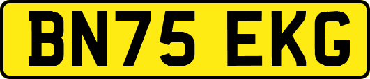 BN75EKG