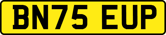 BN75EUP