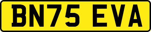 BN75EVA