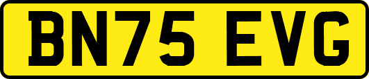 BN75EVG