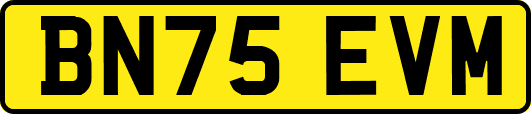 BN75EVM