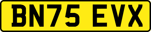 BN75EVX