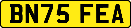 BN75FEA