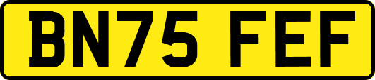 BN75FEF