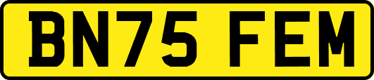 BN75FEM