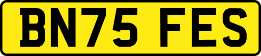BN75FES