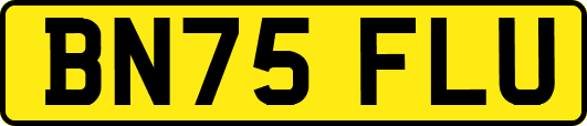 BN75FLU