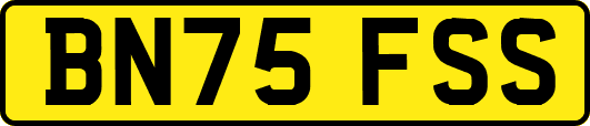 BN75FSS