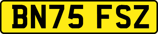 BN75FSZ