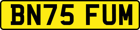 BN75FUM