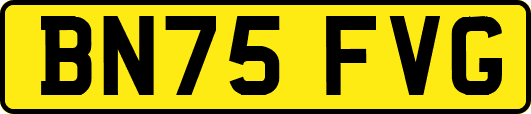 BN75FVG