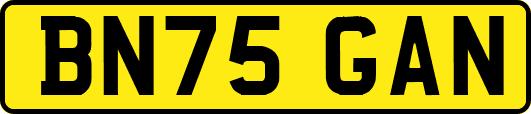 BN75GAN