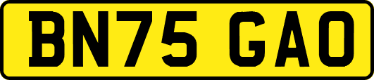 BN75GAO