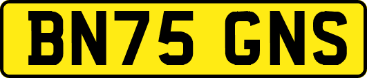 BN75GNS