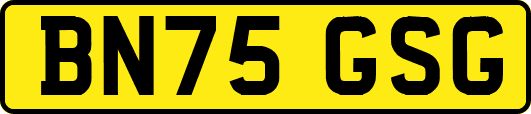 BN75GSG