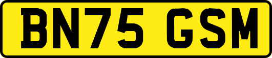 BN75GSM