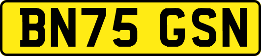 BN75GSN