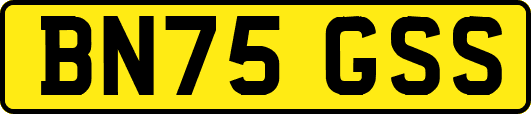 BN75GSS