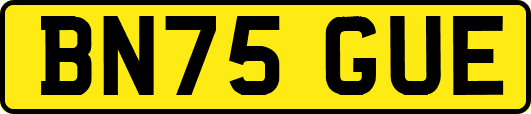 BN75GUE