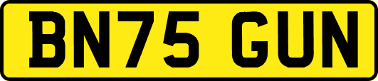 BN75GUN